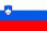 slovenia_flag